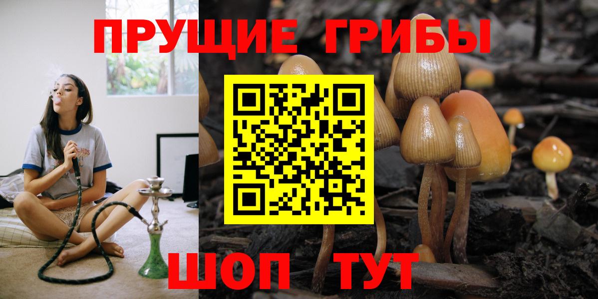 Галлюциногенные грибы Cubensis  Псилоцибиновые грибы GOLDEN TEACHER  Мирный  Вход с VPN 